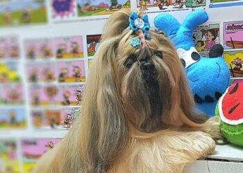 Foto: Reprodução/Mellany.Ann