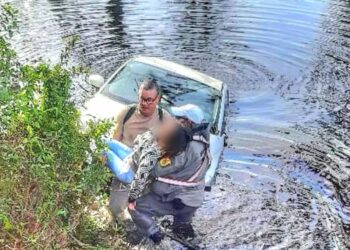 Foto: Divulgação/CRBM