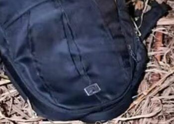 Foto: Divulgação/Polícia Civil