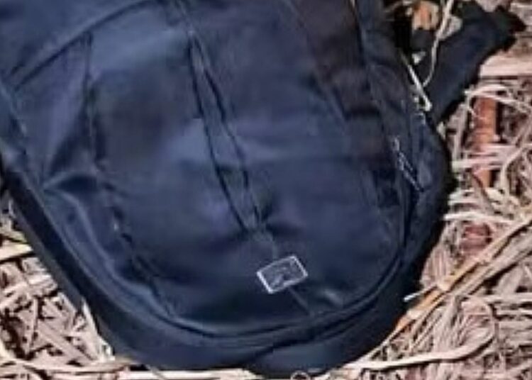 Foto: Divulgação/Polícia Civil