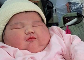 Foto: Divulgação/FSNH