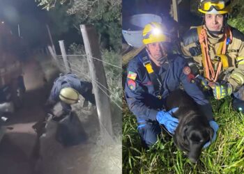 Foto: Divulgação/CBMRS