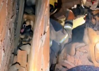 Foto: Divulgação/CBMRS.6bbm