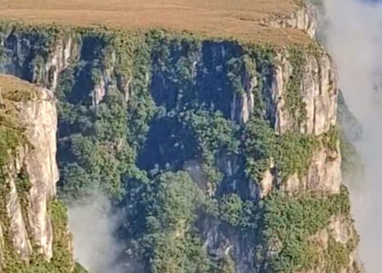 Foto: Reprodução/Redes Sociais