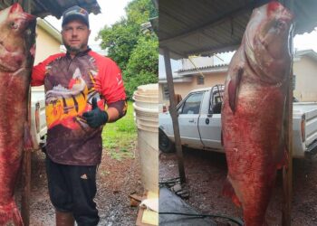 Foto: Reprodução/Arquivo Pessoal