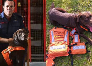 Foto: Divulgação/CBMRS