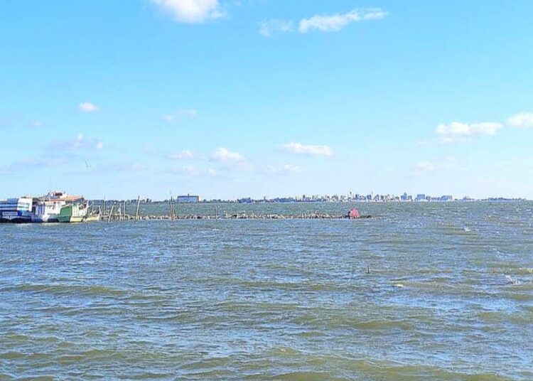 Foto: Reprodução/Ilustrativa