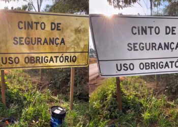 Foto: Reprodução/Iago Vinicius Custódio