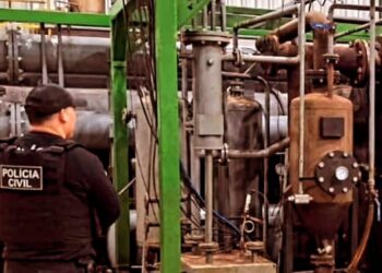 Foto: Divulgação/Polícia Civil