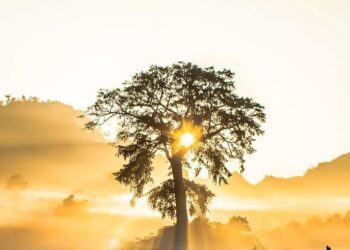 Foto: Reprodução/Ilustrativa