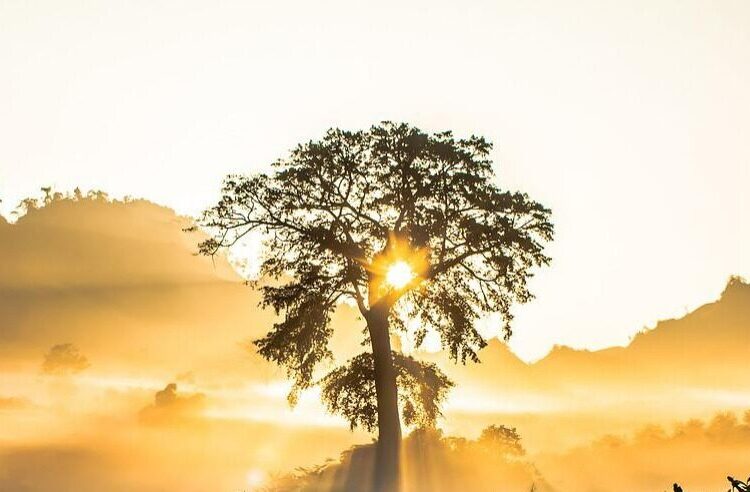 Foto: Reprodução/Ilustrativa