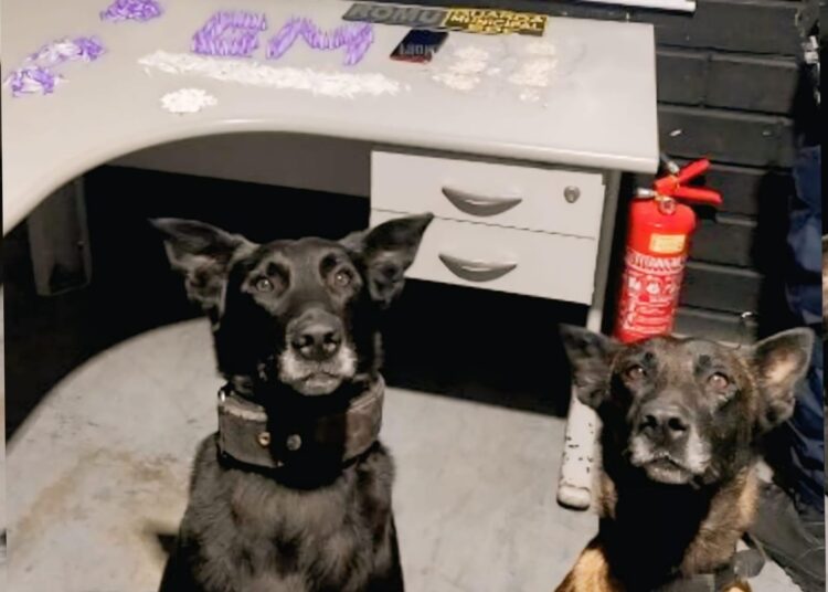 Foto: Divulgação/PMG