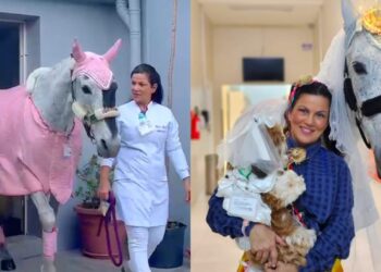 Foto: Sereia Pet Terapeuta