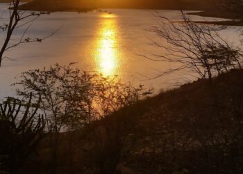 Foto: Reprodução/Ilustrativa