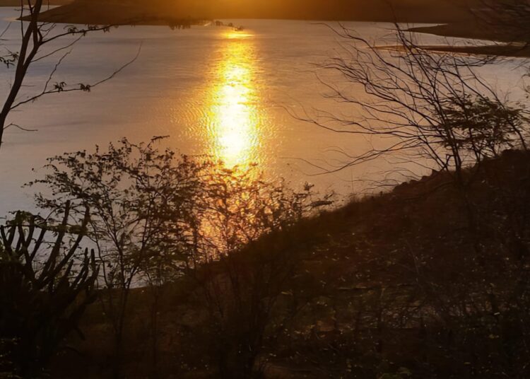 Foto: Reprodução/Ilustrativa