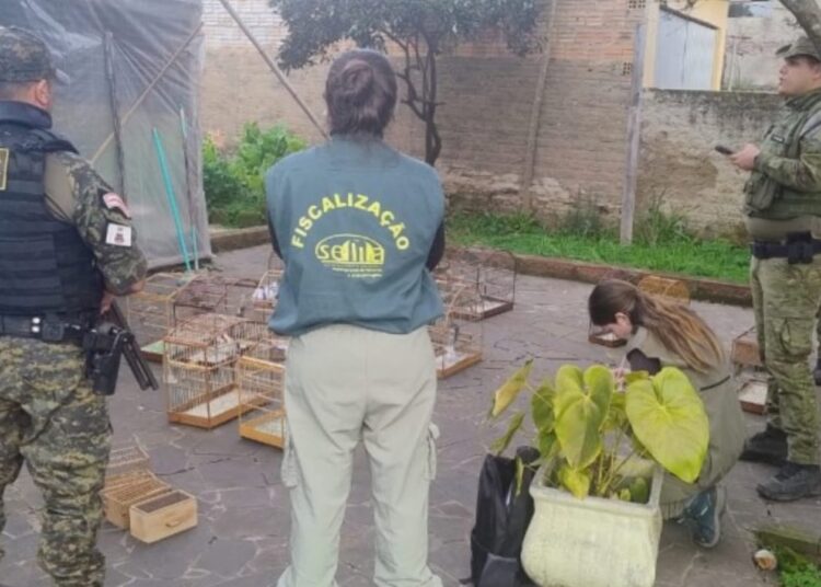 Foto: Divulgação/GMG