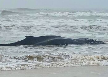 Foto: Reprodução/Redes Sociais