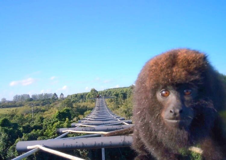 Foto: Divulgação/EGR