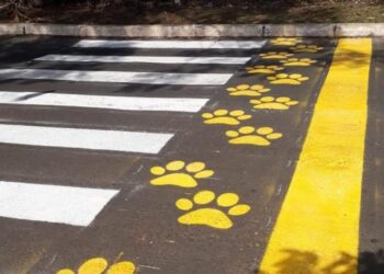 Foto: Reprodução/Redes Sociais