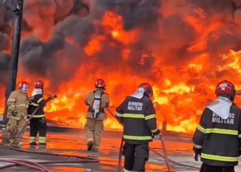 Foto: Divulgação/CBMAM