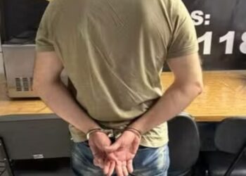 Foto: Divulgação/Draco