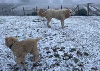 Foto: Milena Velho Amaral/PMSJA