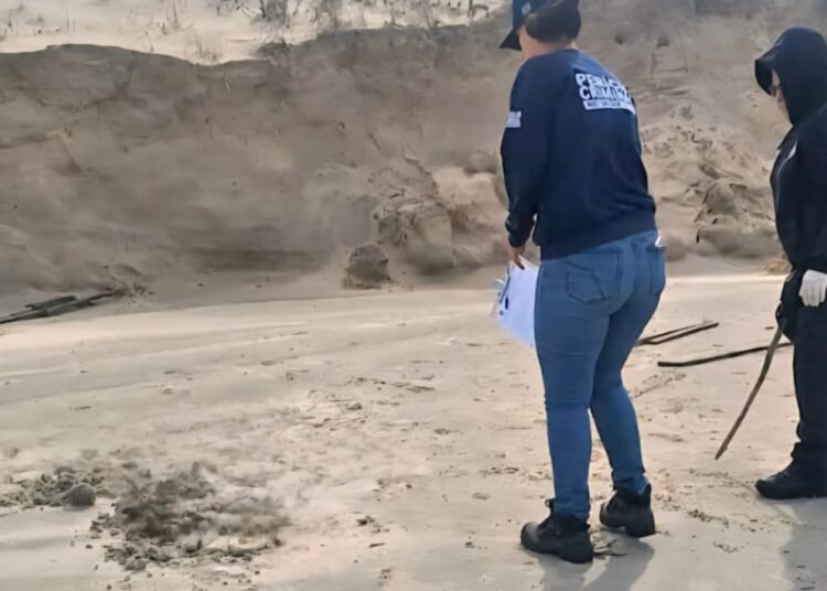 Foto: Divulgação/Polícia Civil