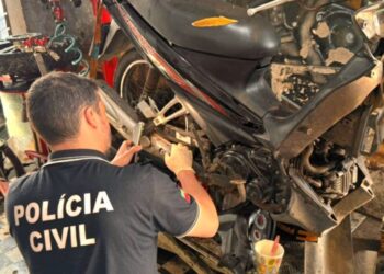 Foto: Divulgação/Polícia Civil