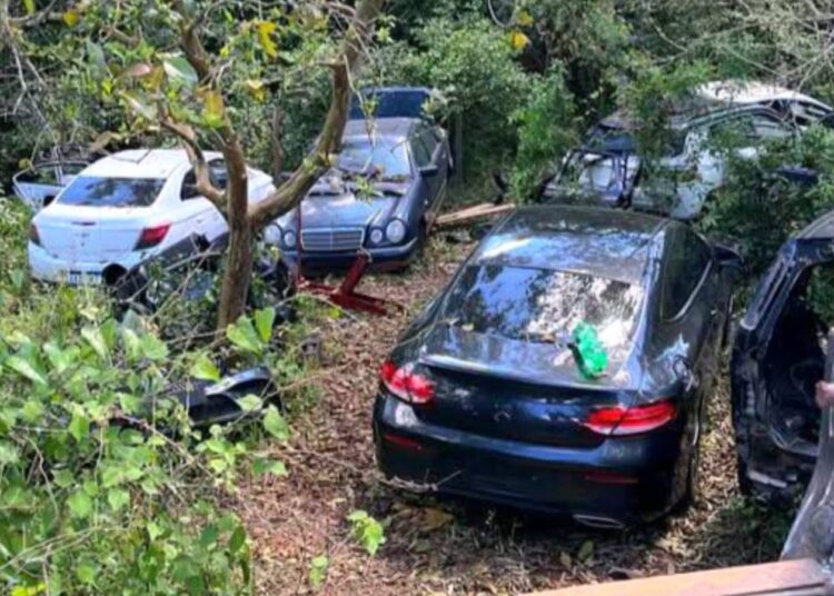 Foto: Divulgação/Polícia Civil