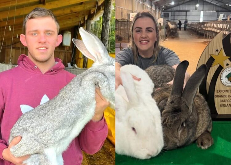 Foto: Reprodução/Redes Sociais