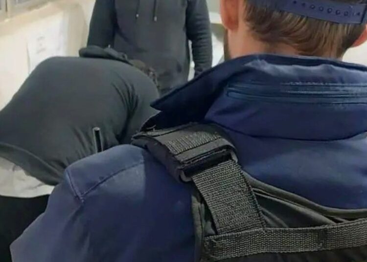 Foto: Divulgação/GCM