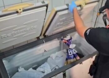 Foto: Divulgação/PC