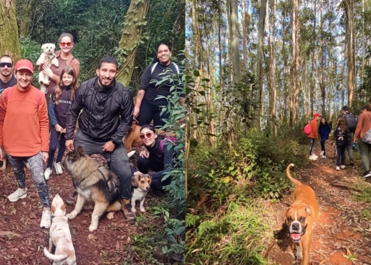 Foto: Divulgação/Trilhas Dog