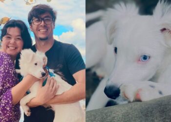 Foto: Jean Carlos/Zoki