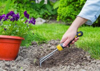 Foto: Reprodução/Ilustrativa