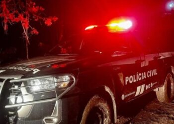 Foto: Divulgação/Polícia Civil