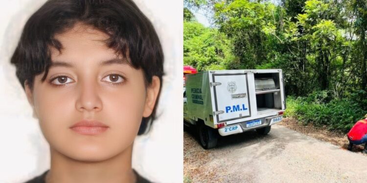 Foto: Divulgação/Polícia Civil/Redes Sociais