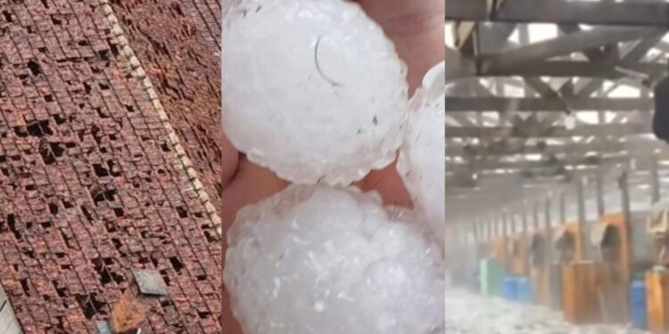 Foto: Reprodução/Redes Sociais