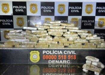 Foto: Divulgação/Polícia Civil