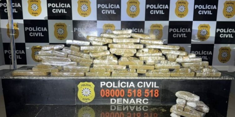 Foto: Divulgação/Polícia Civil