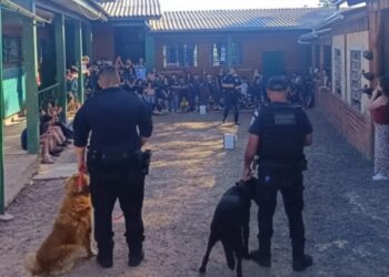 Foto: Divulgação/PMG