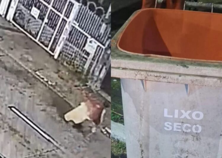 Foto: Divulgação/Polícia Civil