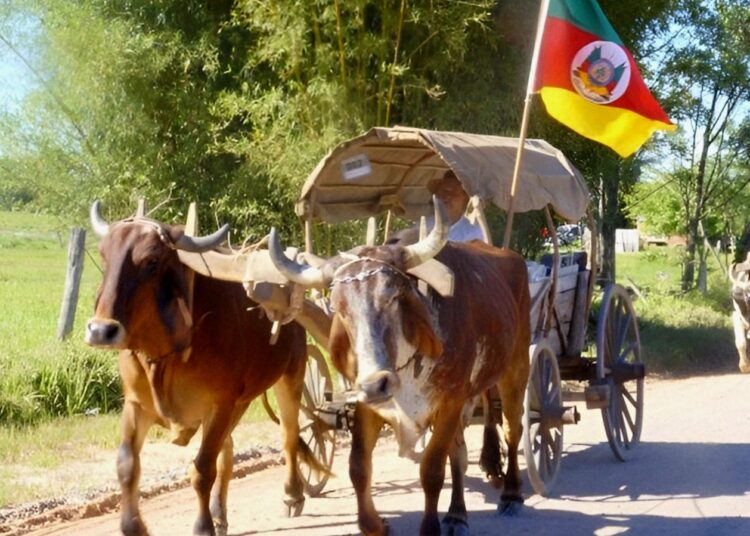 Foto: Divulgação/PMG