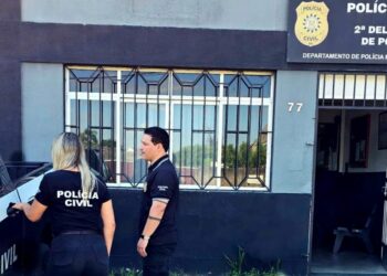 Foto: Divulgação/Polícia Civil