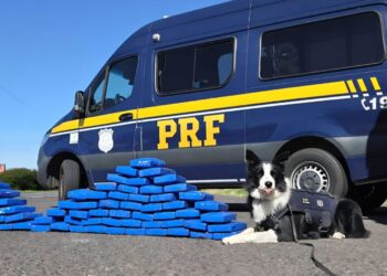 Foto: Divulgação/PRF
