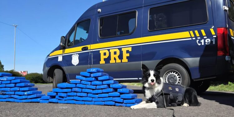 Foto: Divulgação/PRF
