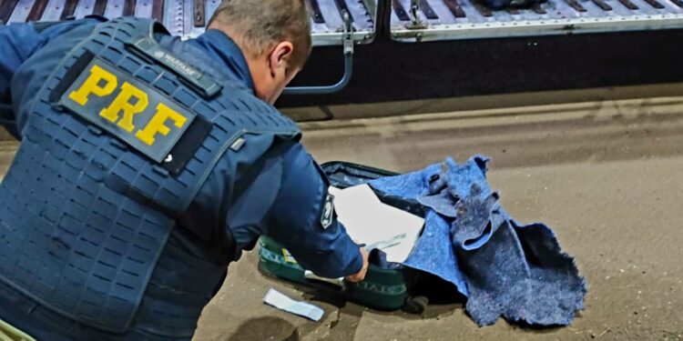 Policial da PRF verificando mala