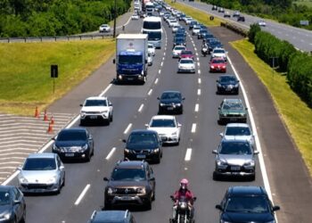Carros na freeway