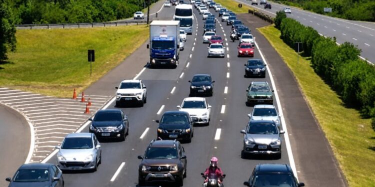 Carros na freeway